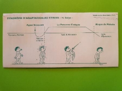 STRESS - EMOTIONS ET SANTE