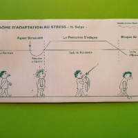 STRESS - EMOTIONS ET SANTE