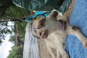 Portrait de elfina